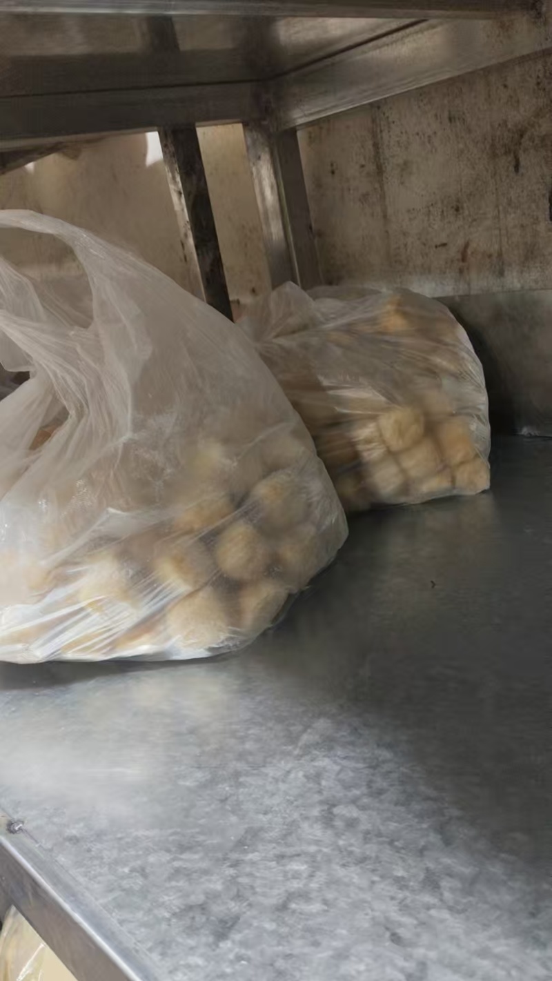 安徽豆泡新鲜上市厂家直发价格美丽质量好走货快欢迎询价热卖