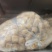 安徽豆泡新鲜上市厂家直发价格美丽质量好走货快欢迎询价热卖