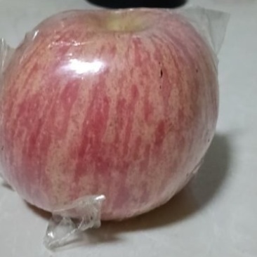 河南陕州区甘山富士