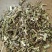 荆芥正品荆芥中药材无硫新货***荆芥正品
