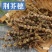 荆芥穗中药材精选新货荆芥穗荆芥穗药材荆芥正品无硫