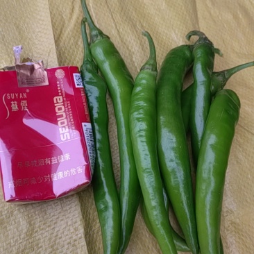 鲜辣椒