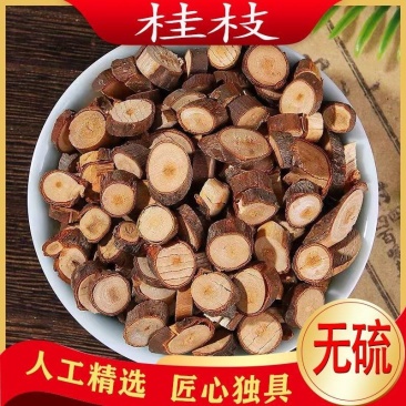 桂枝中药材正宗桂枝尖正品新货自然晒干干净无硫
