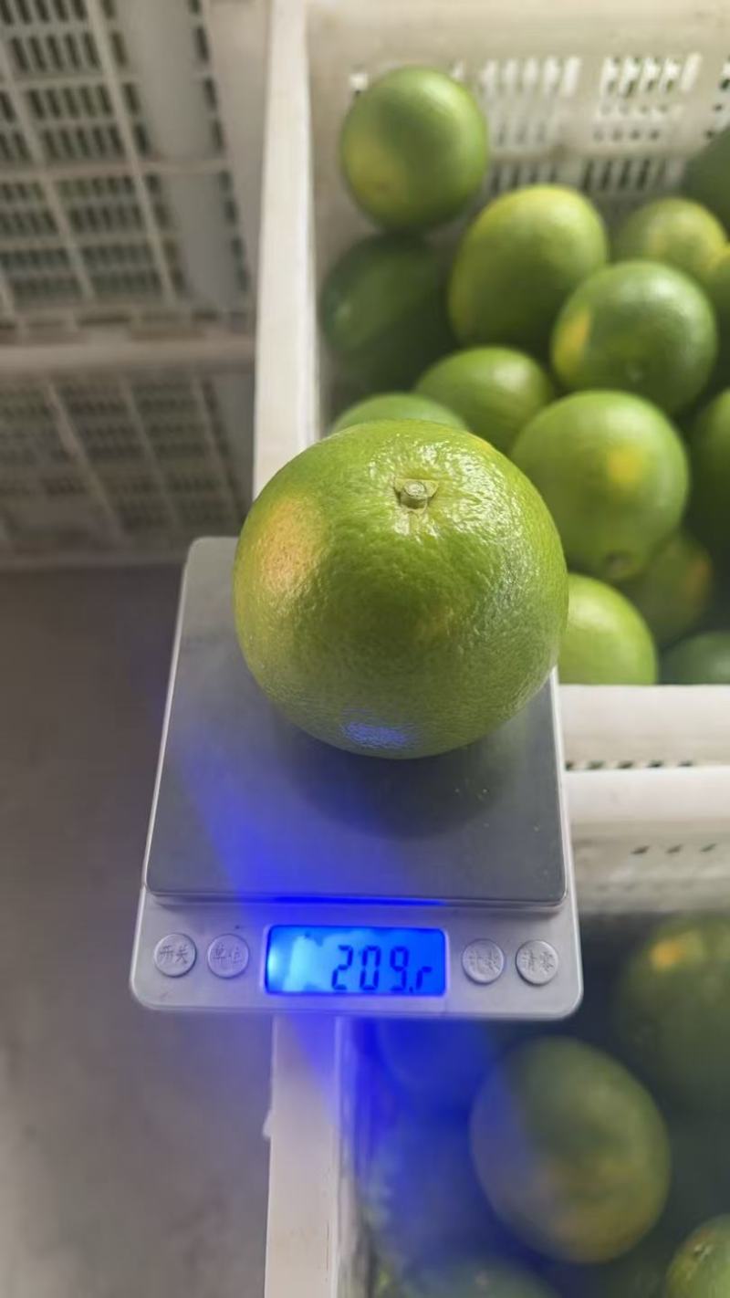 云南冰糖橙，产地直发，品质保证，诚信经营，量大从优