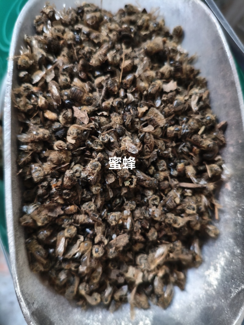 蜜蜂