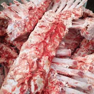牛脊骨，熬汤，嘎嘎香，带一点肉，实拍现发欢迎来电！