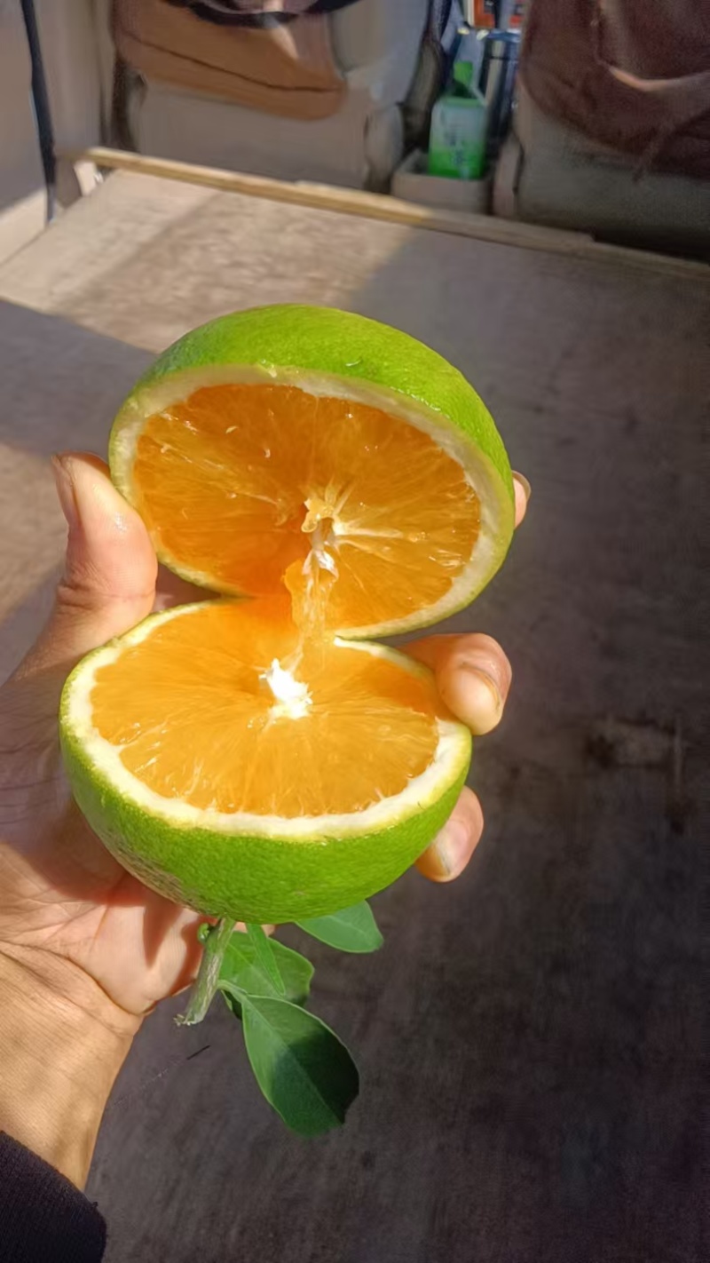 红肉脐橙，产地一手货源，水分足，甜度高，欢迎合作