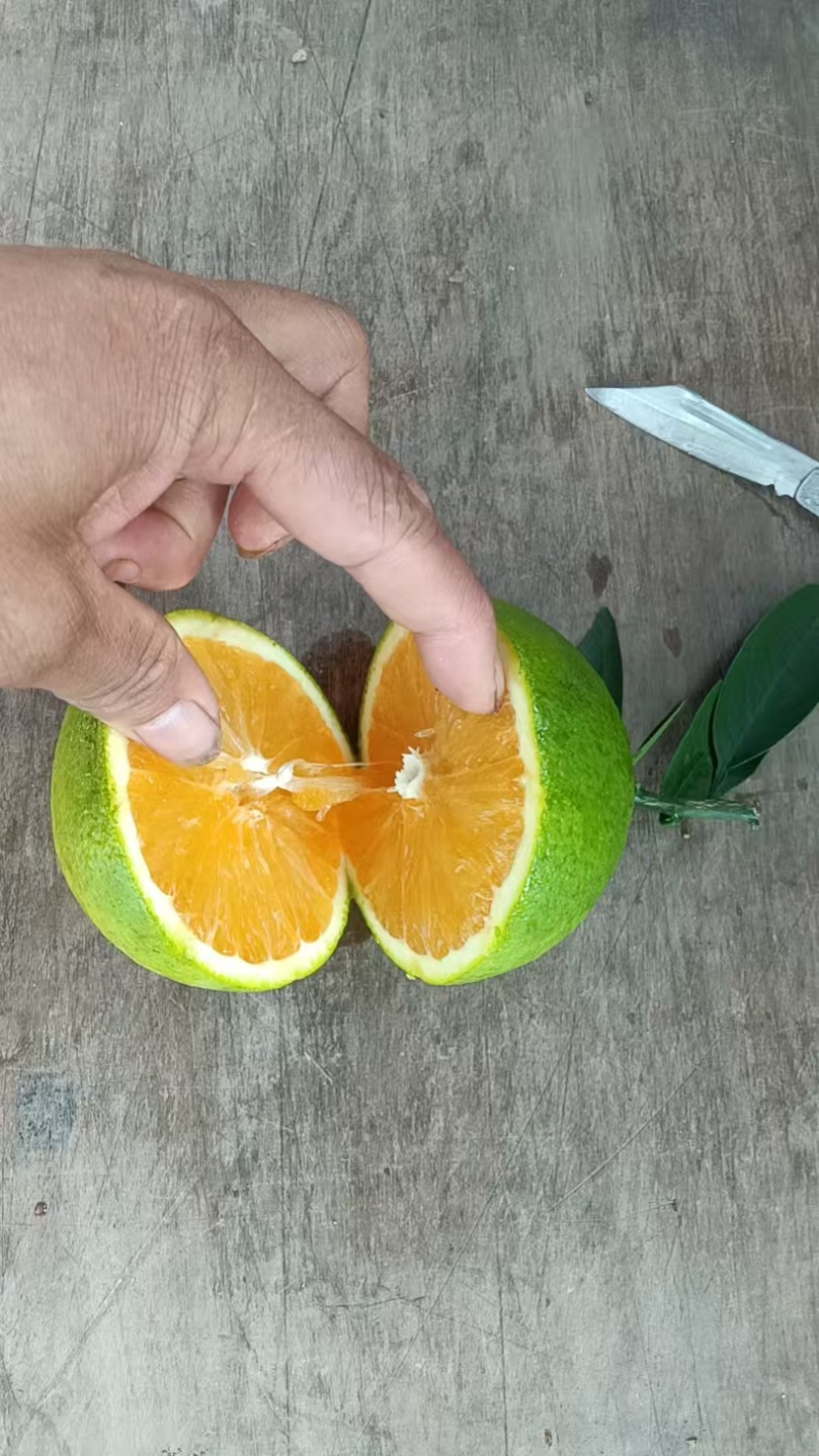 红肉脐橙，产地一手货源，水分足，甜度高，欢迎合作