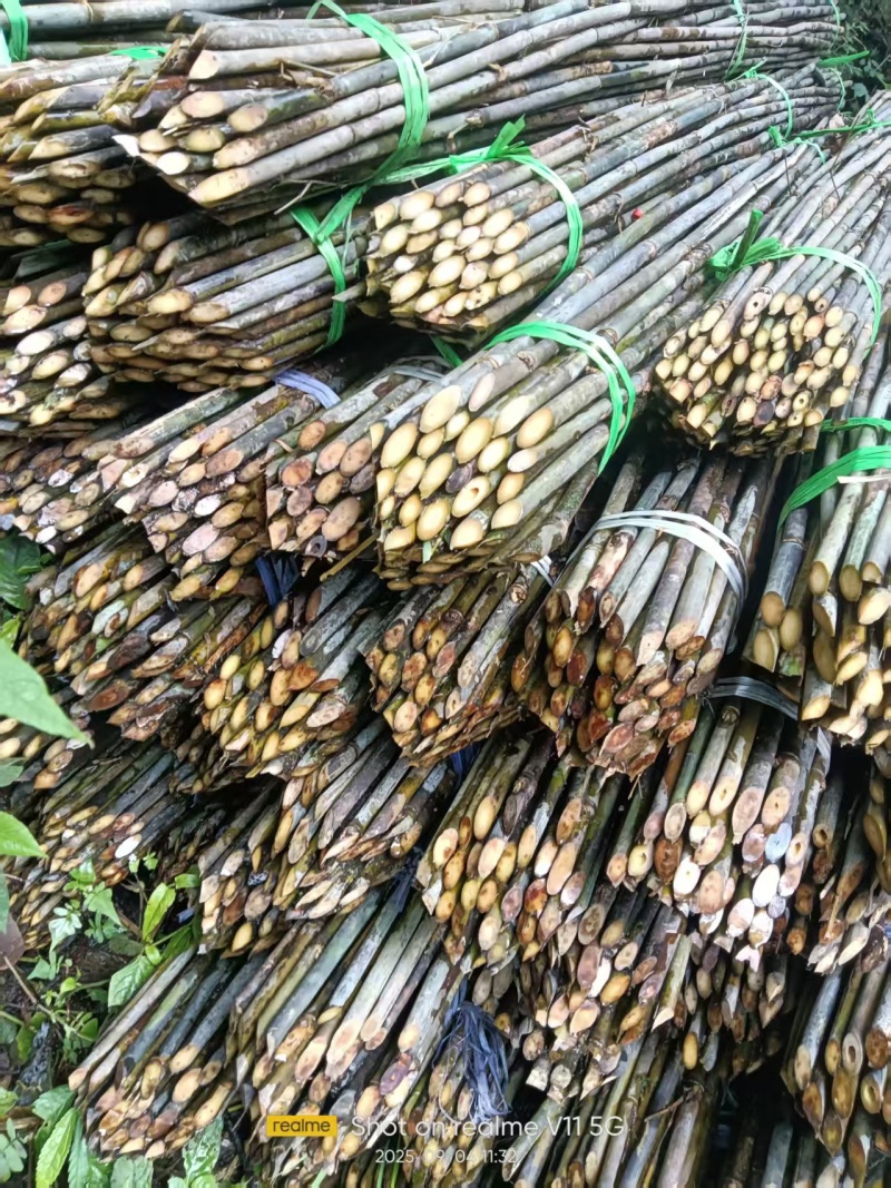 豆杆果树杆