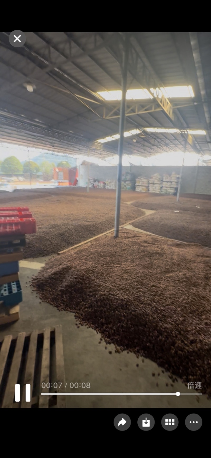 南非碧根果碧根果生料新货干的碧根果源头工厂直销
