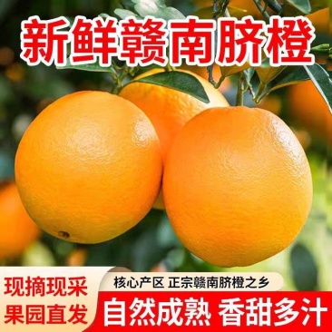 赣南脐橙产地直采寻乌