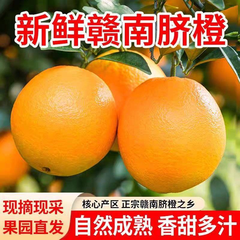 赣南脐橙产地直采寻乌