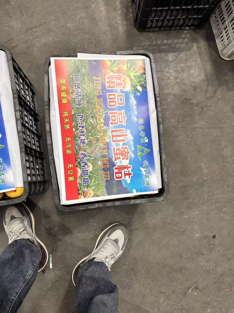 高山蜜桔现摘现发保质保量保售后坏果包赔