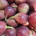 无花果云南无花果大果粒口感佳营养丰富价格实惠运输便利