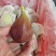 无花果云南无花果大果粒口感佳营养丰富价格实惠运输便利