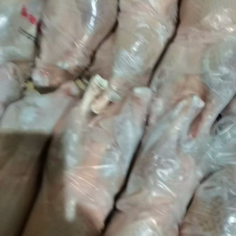 白条鸭
