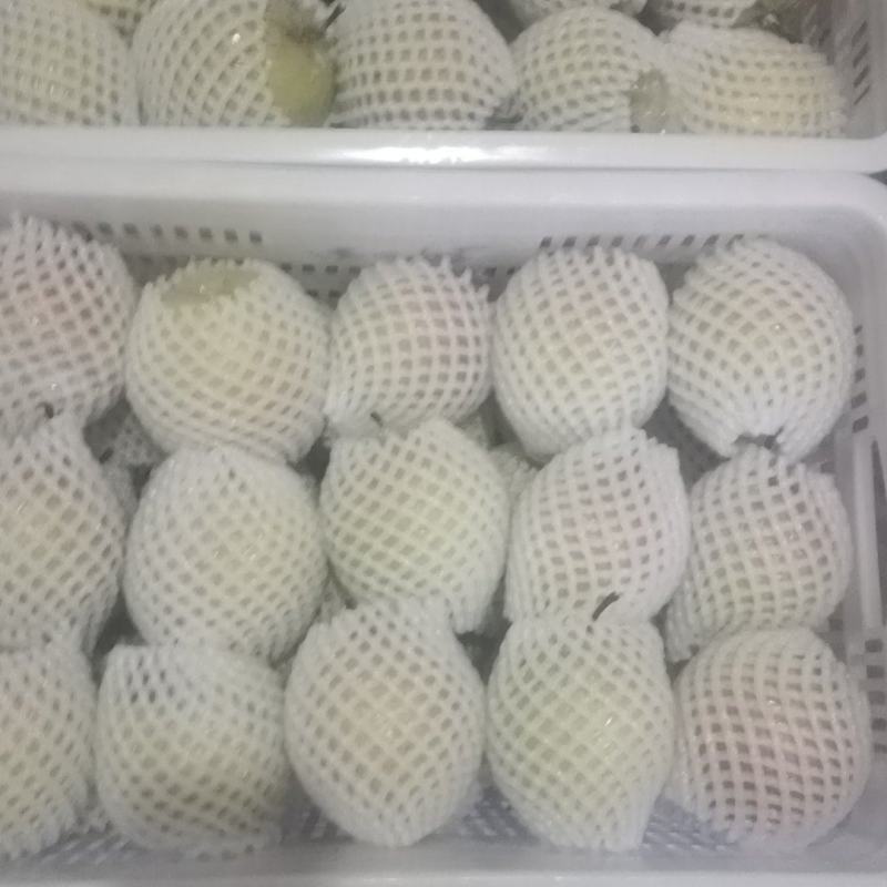 玉露香梨