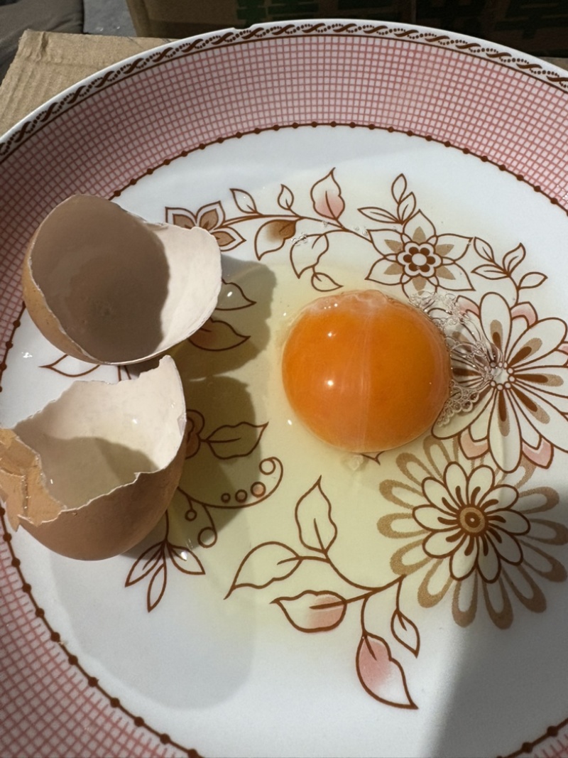 东北农村笨鸡蛋