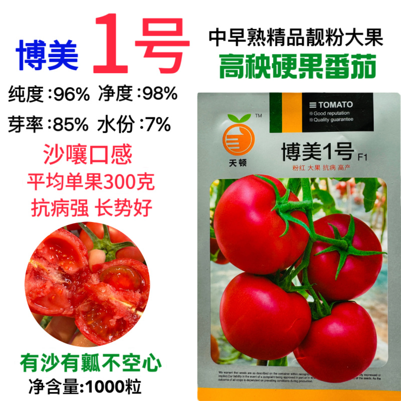博美1号番茄种子中早熟硬果粉红番茄种子硬度好抗病高产