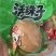 活珠子多个口味