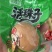 活珠子多个口味