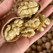 核桃云南高山薄皮核桃——自然原味，颗颗饱满好剥