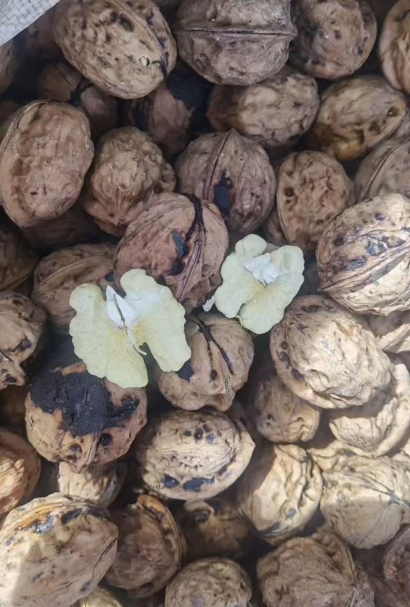 核桃云南高山薄皮核桃——自然原味，颗颗饱满好剥
