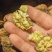 核桃云南高山薄皮核桃——自然原味，颗颗饱满好剥