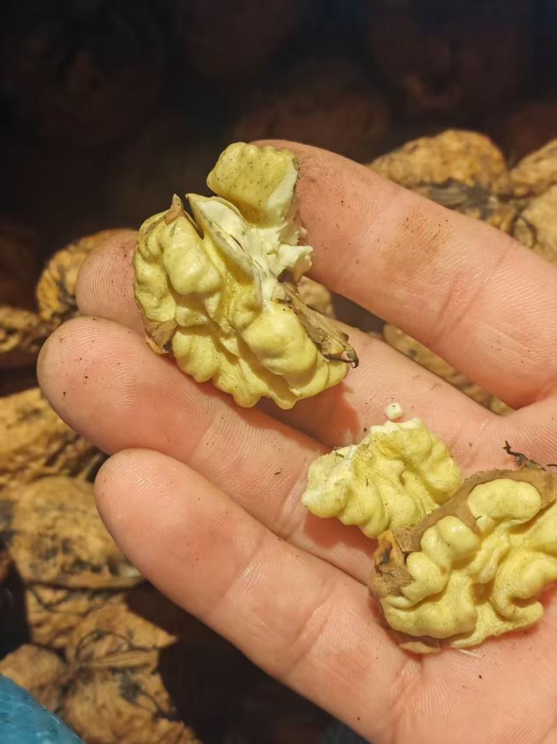 核桃云南高山薄皮核桃——自然原味，颗颗饱满好剥