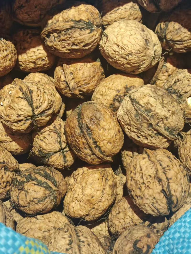 核桃云南高山薄皮核桃——自然原味，颗颗饱满好剥