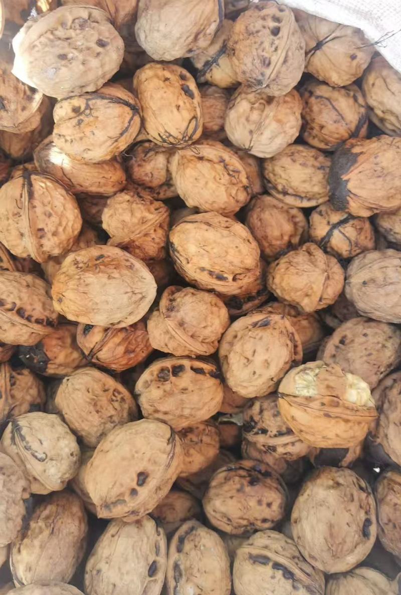 核桃云南高山薄皮核桃——自然原味，颗颗饱满好剥