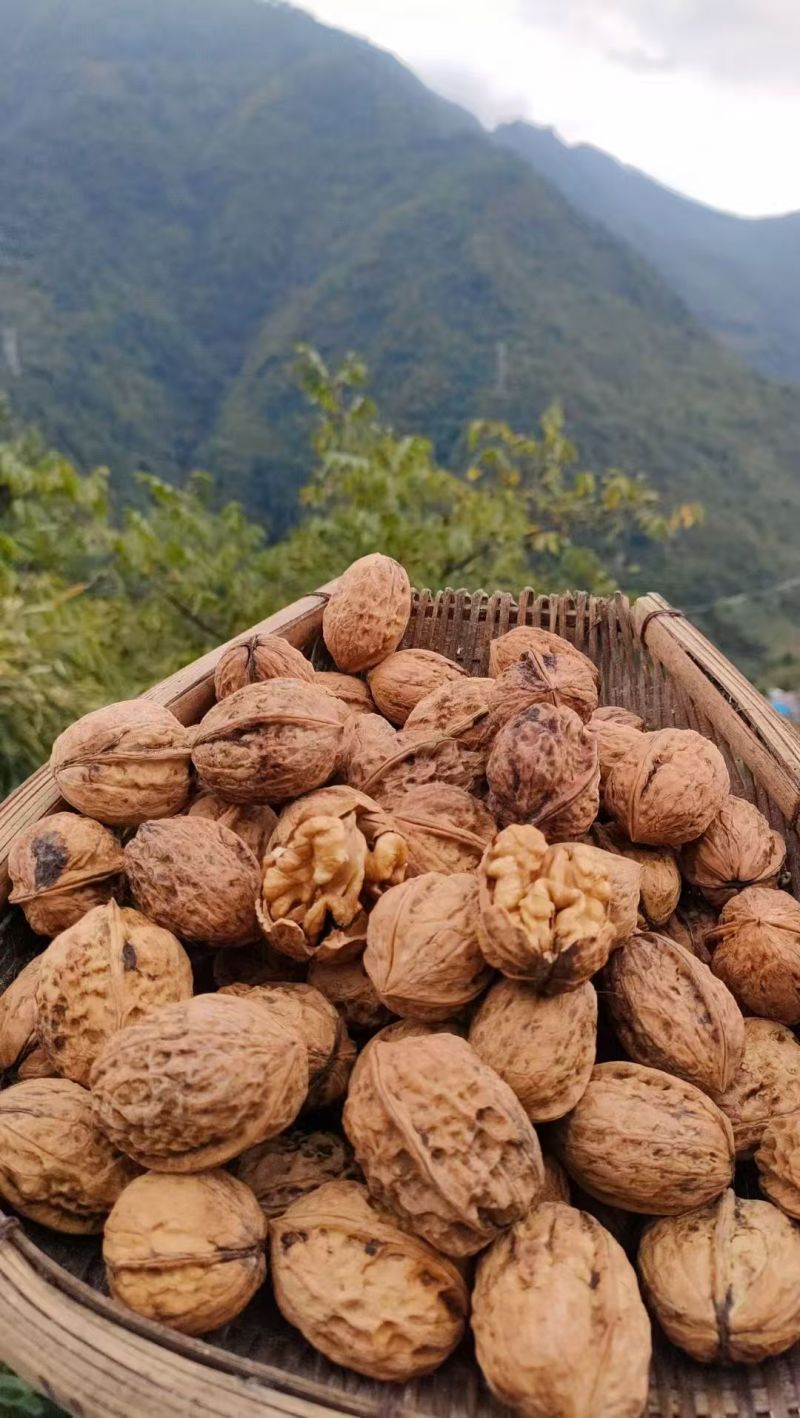 核桃云南高山薄皮核桃——自然原味，颗颗饱满好剥