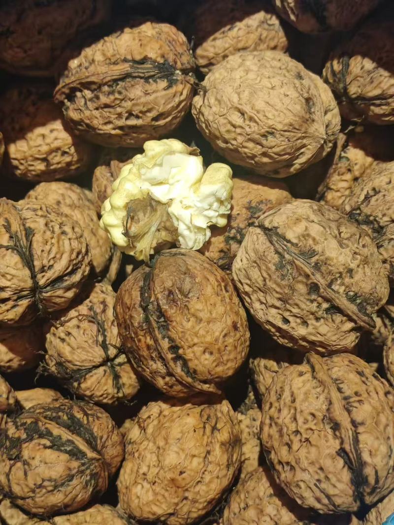 核桃云南高山薄皮核桃——自然原味，颗颗饱满好剥