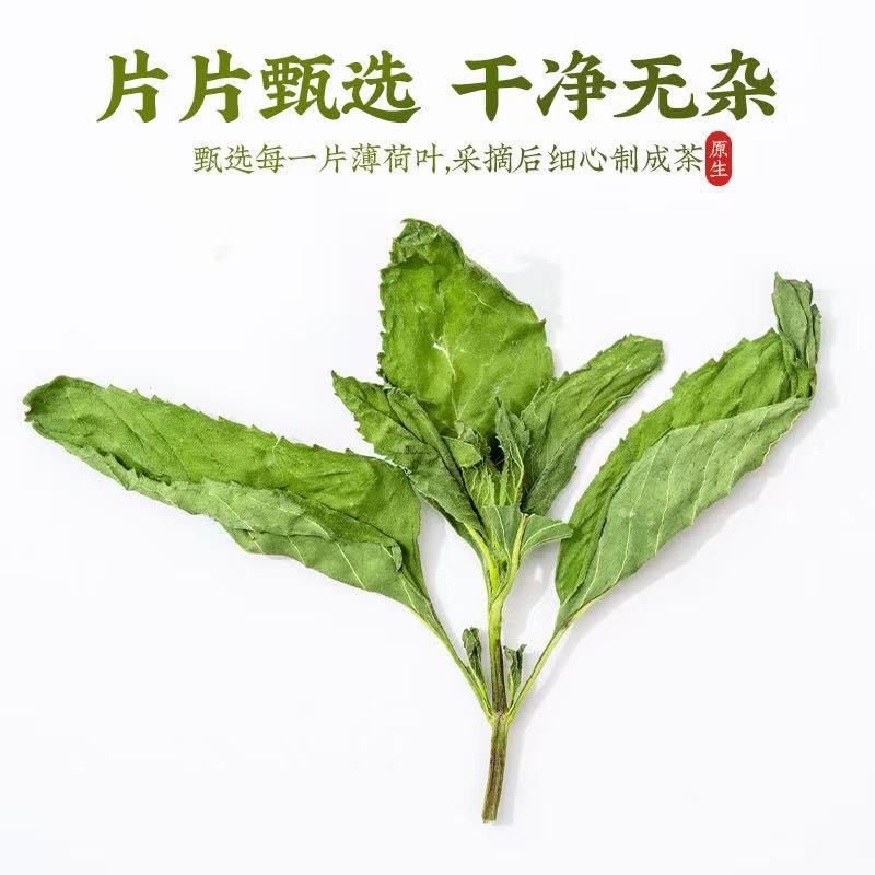 薄荷中药材新货头茬薄荷叶自然晾晒无硫道地药材