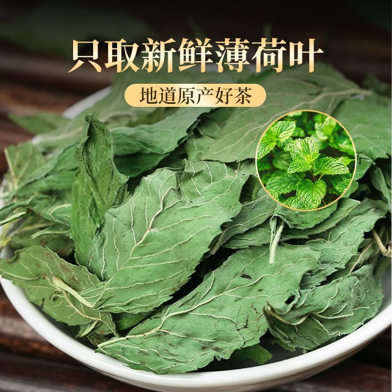 薄荷中药材新货头茬薄荷叶自然晾晒无硫道地药材