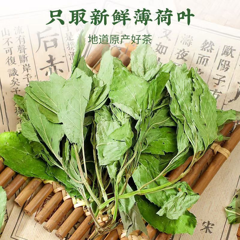 薄荷中药材新货头茬薄荷叶自然晾晒无硫道地药材