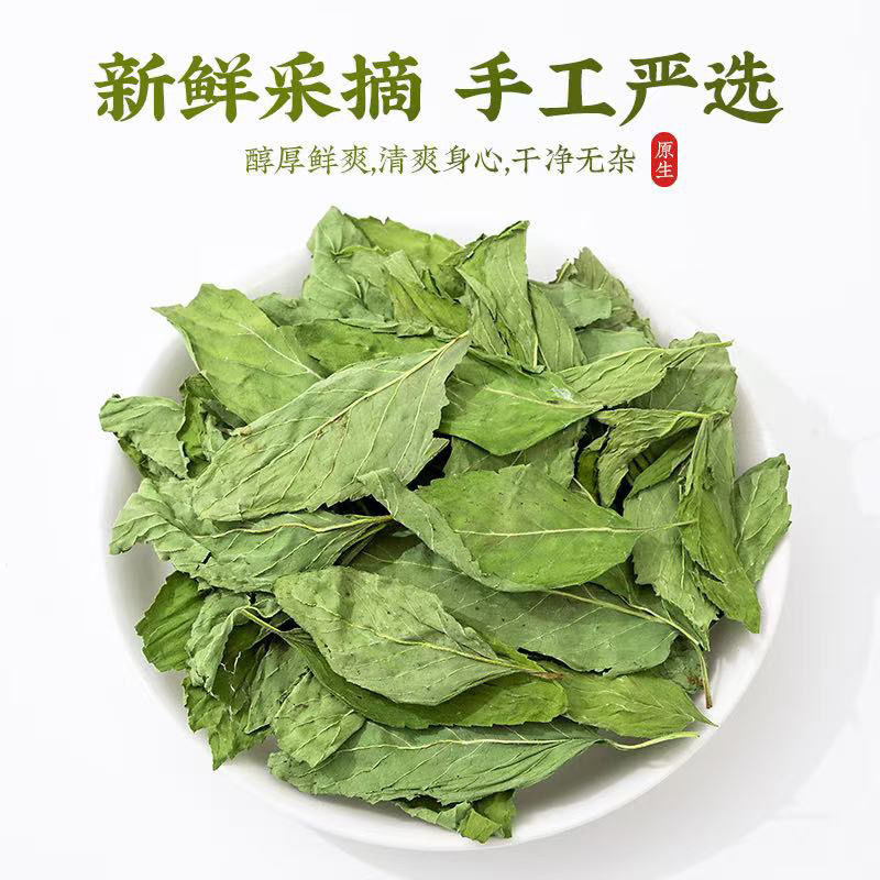薄荷中药材新货头茬薄荷叶自然晾晒无硫道地药材
