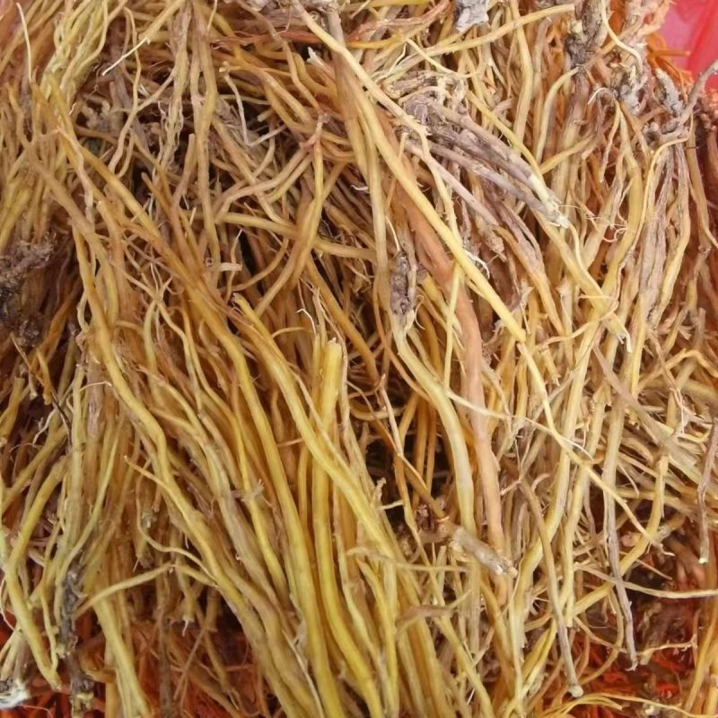 龙胆草中药材整颗龙胆草正品自然晒干真材实料道地药材