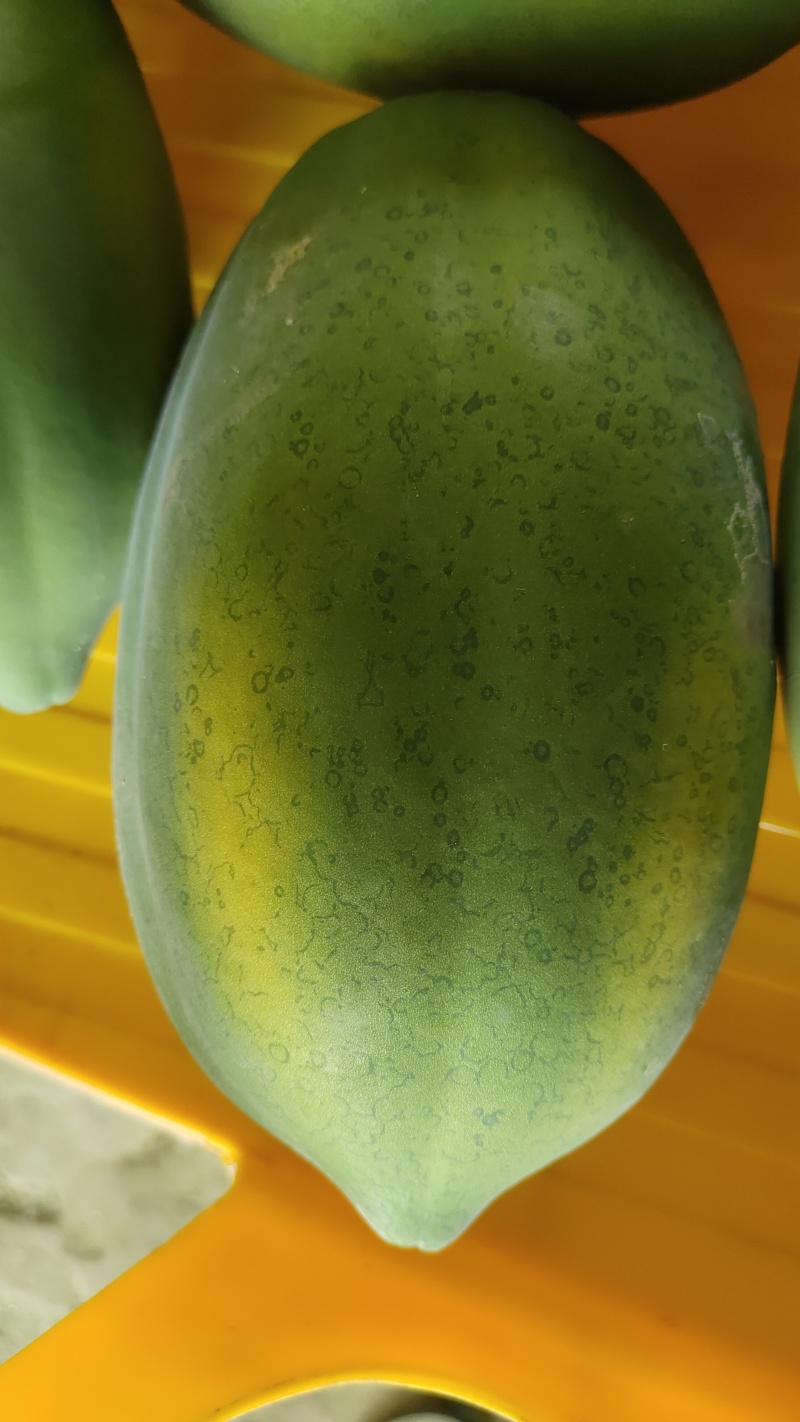 水果，木瓜