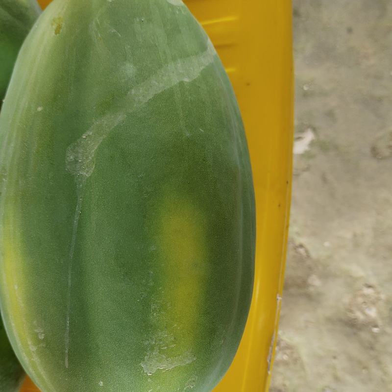 水果，木瓜