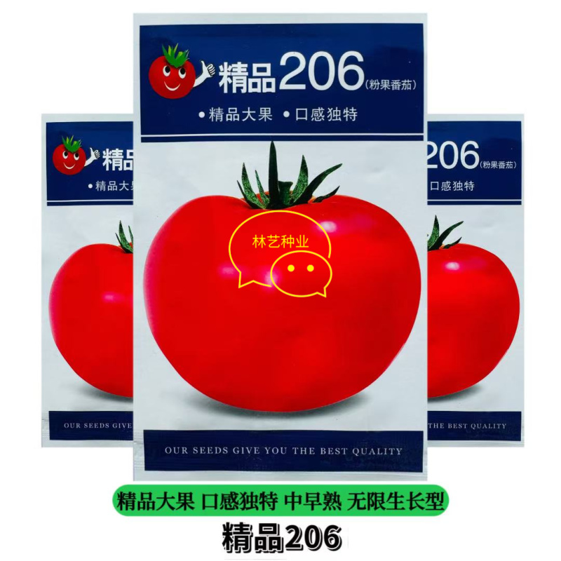 精品206番茄种子超大粉果西红柿抗病高产大田番茄