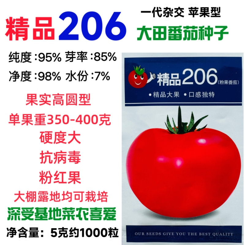 精品206番茄种子超大粉果西红柿抗病高产大田番茄