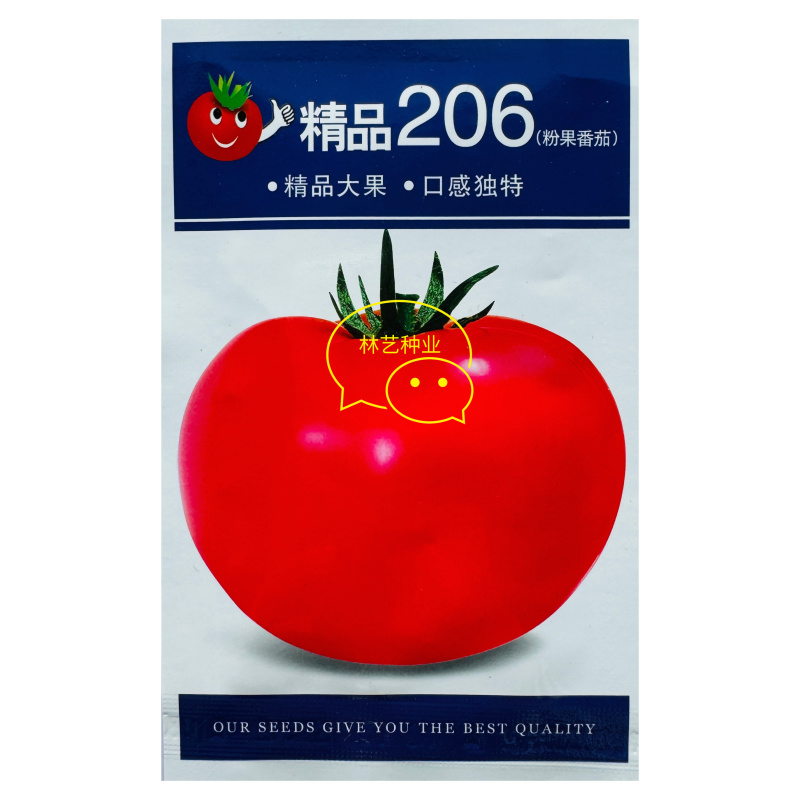 精品206番茄种子超大粉果西红柿抗病高产大田番茄