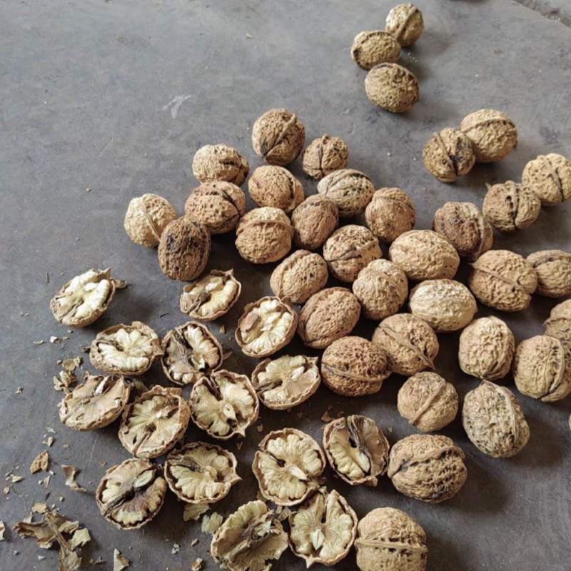 云南纸皮核桃量大无忧