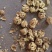 云南纸皮核桃量大无忧
