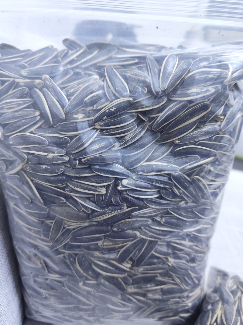 厂家直销熟原味儿瓜子电商用货批发量大优惠