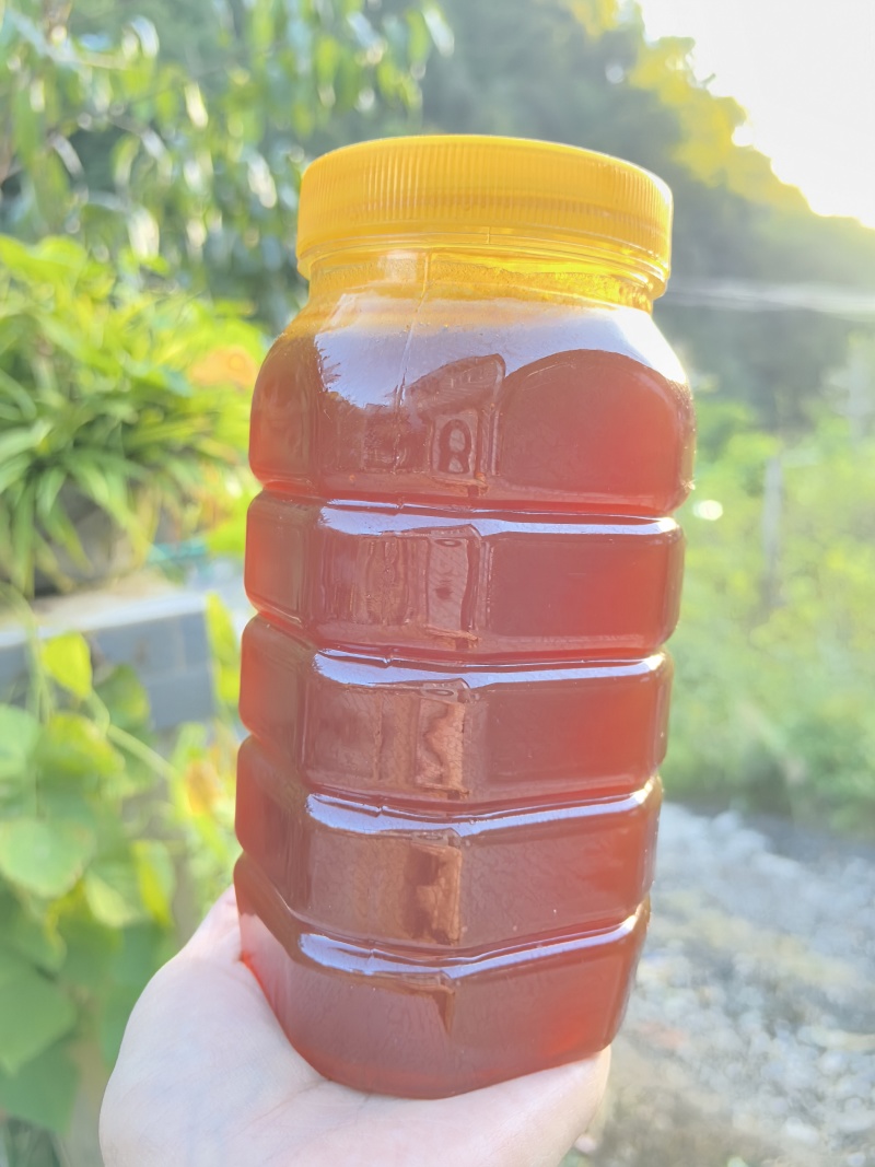 陕西土蜂蜜