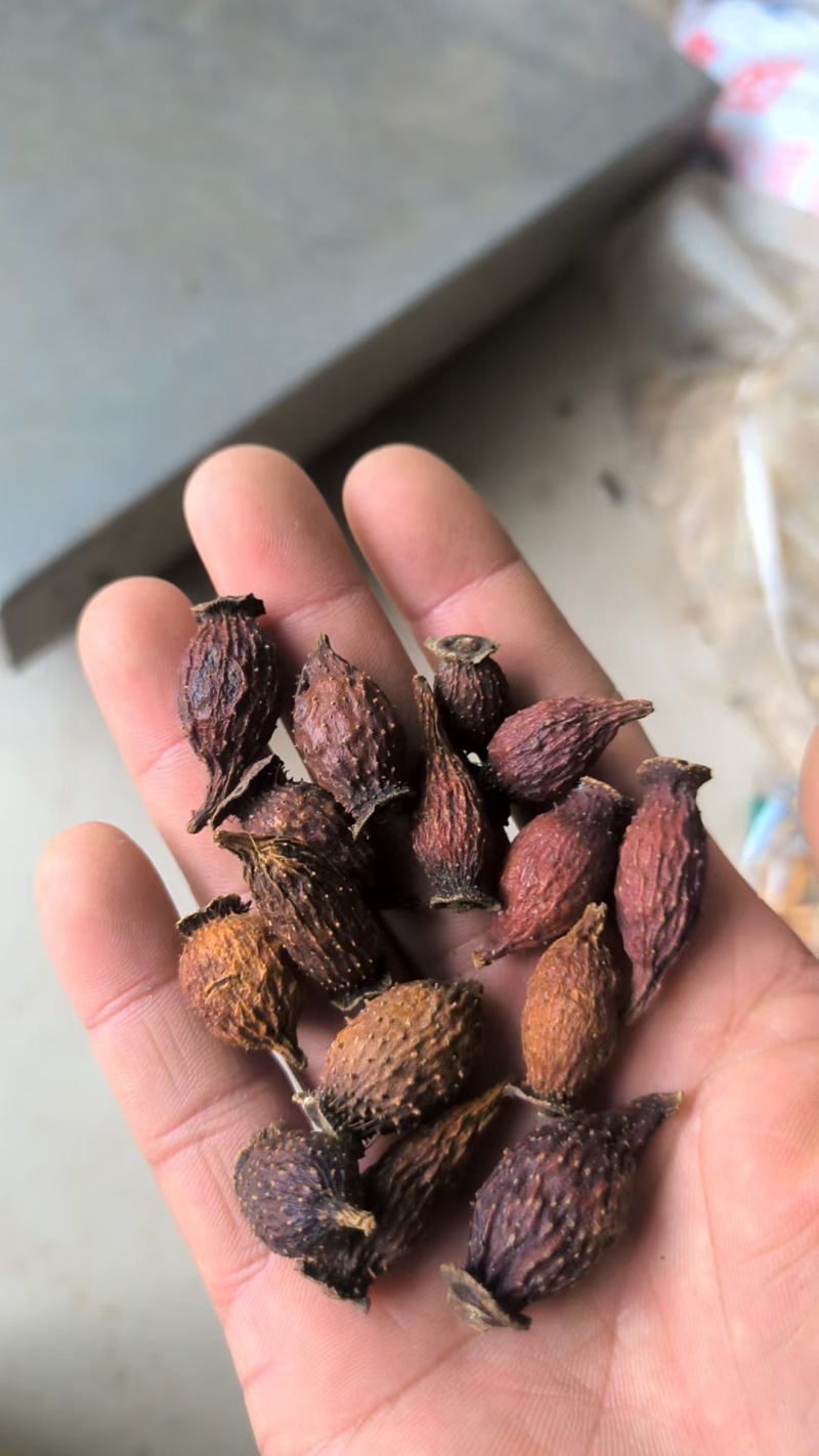 金樱子金樱子肉中药材批发金樱子质量保证量大从优