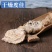 琥珀中药材琥珀正品干净无杂自然晒干无硫中药材