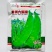 白花菜豌豆种子荷兰豆龙盛食荚大菜豌种籽双花双荚豌豆种四川